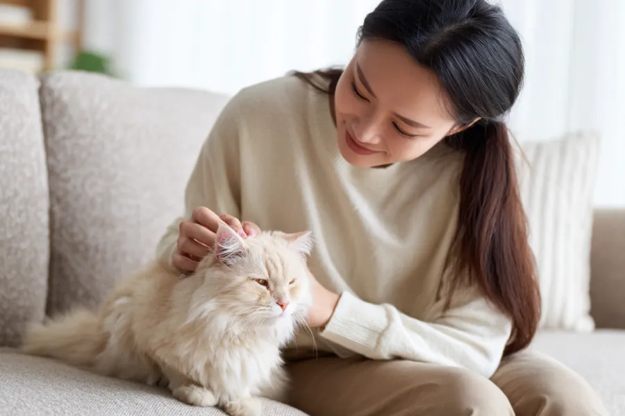 Portable Pet Carrier