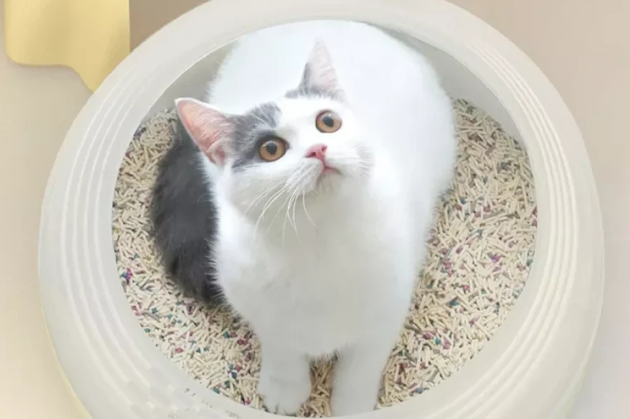 Durable Plastic Litter Box
