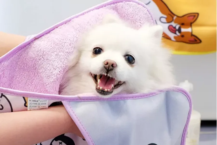 Plush Dog Bath Towel